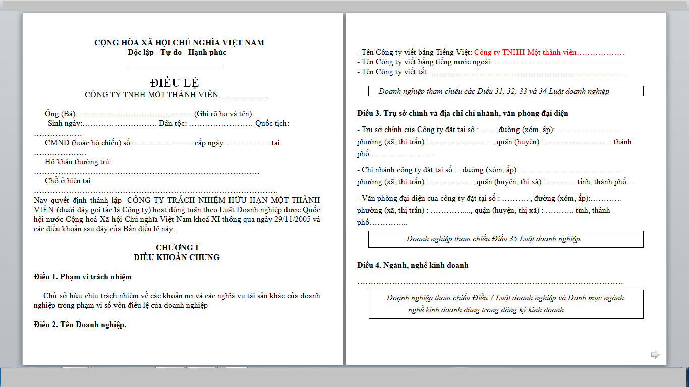 Hướng dẫn nộp hồ sơ thành lập công ty TNHH 1 thành viên